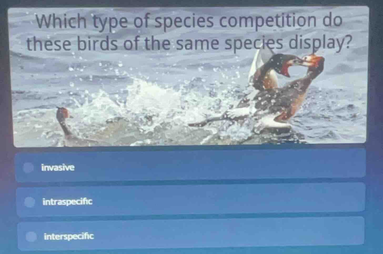 which type of species competition do these birds of the same species di…