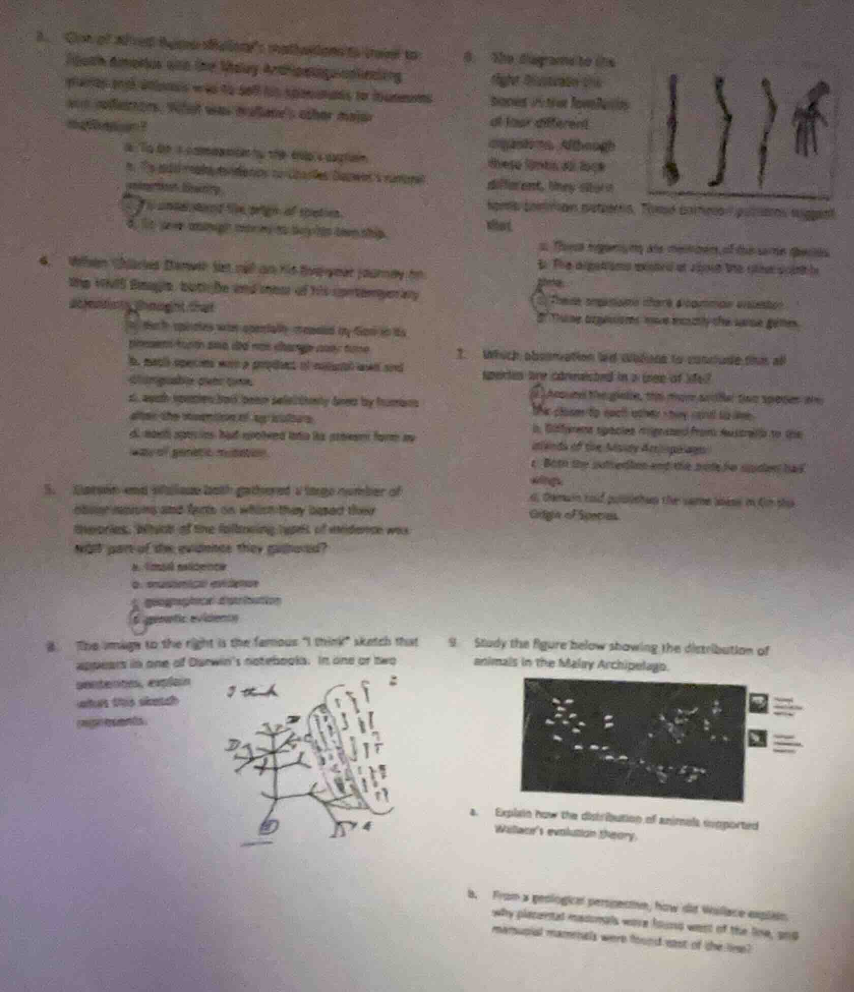 4. one of alfred russel wallace’s motivations to travel to south americ…