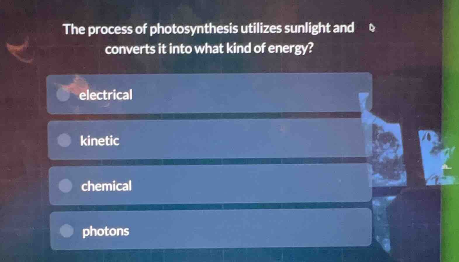 the process of photosynthesis utilizes sunlight and converts it into wh…