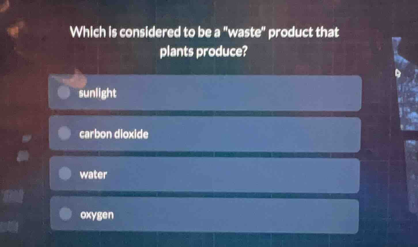 which is considered to be a \waste\ product that plants produce? sunlig…