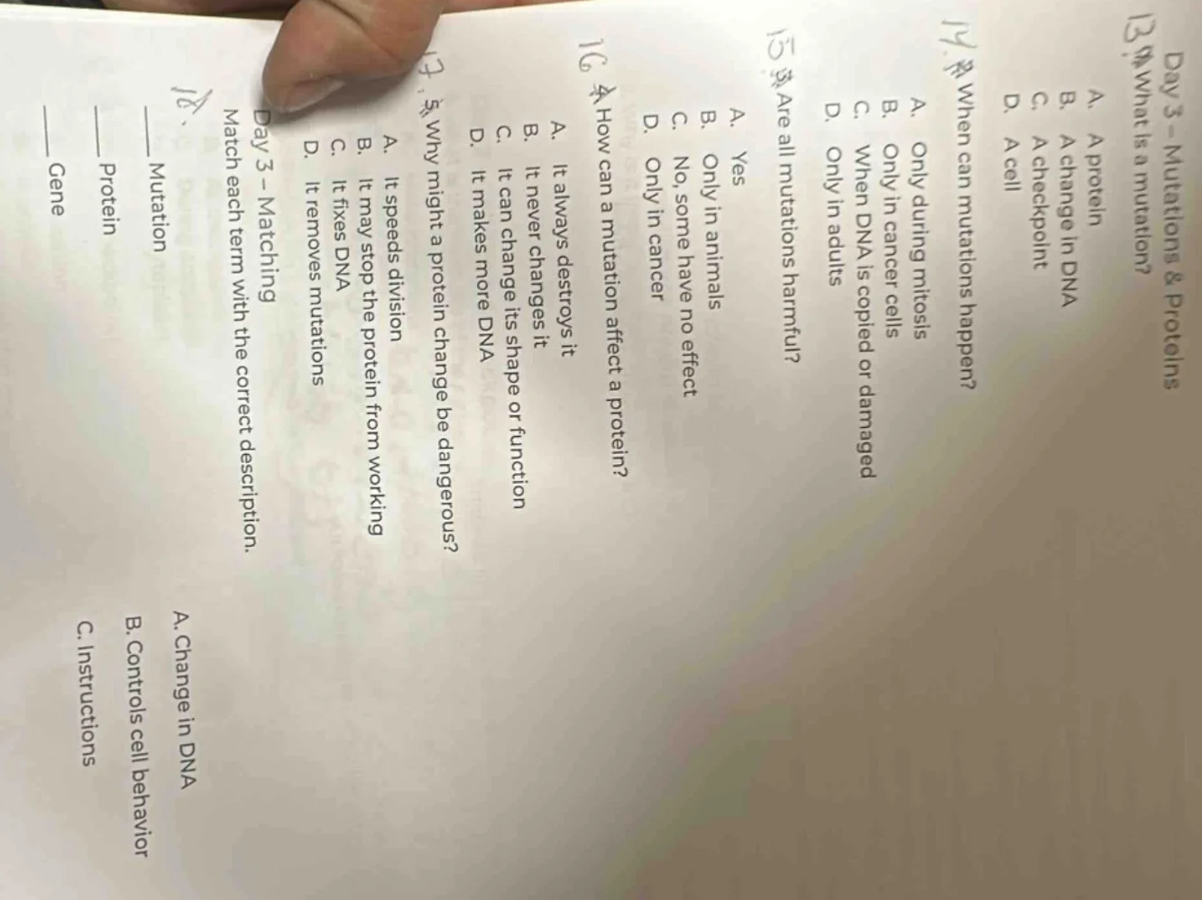 day 3 – mutations & proteins 13. what is a mutation? a. a protein b. a …