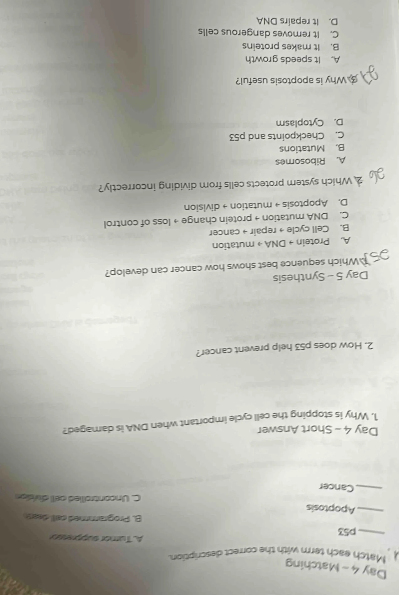 day 4 - matching a. match each term with the correct description. —— p5…
