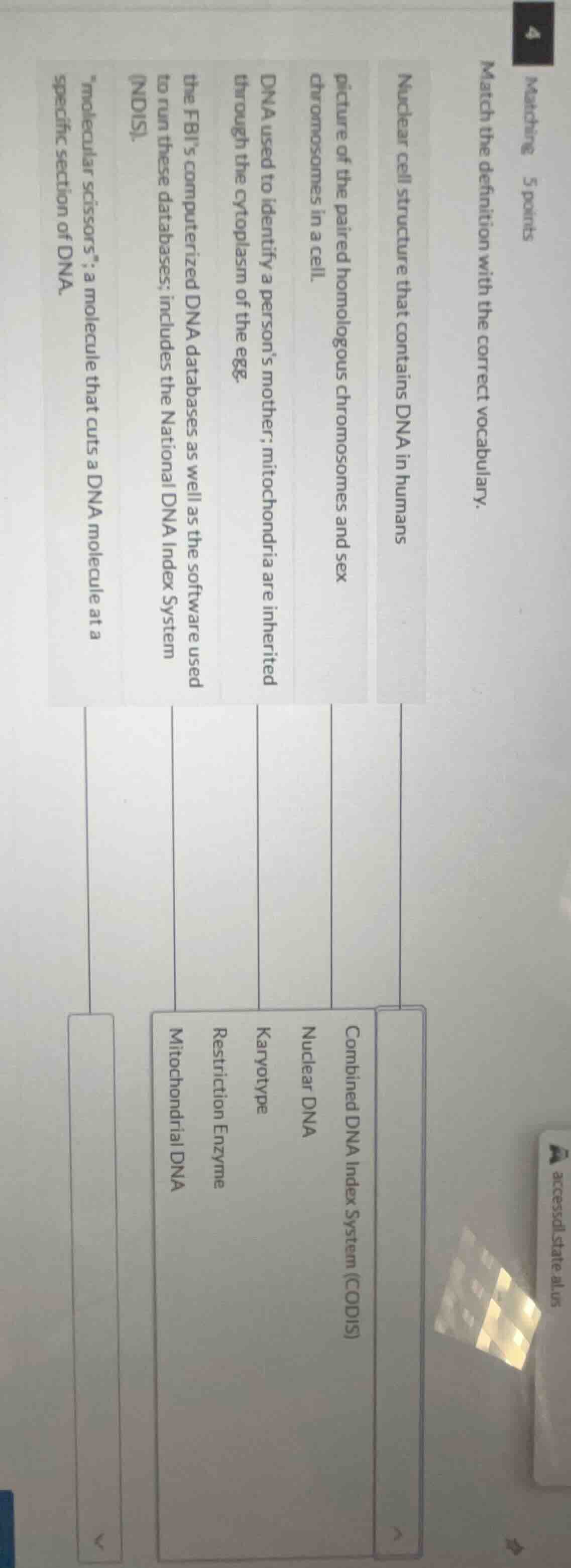 matching 5 points match the definition with the correct vocabulary. nuc…