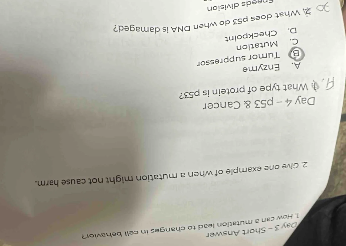 day 3 - short answer 1. how can a mutation lead to changes in cell beha…