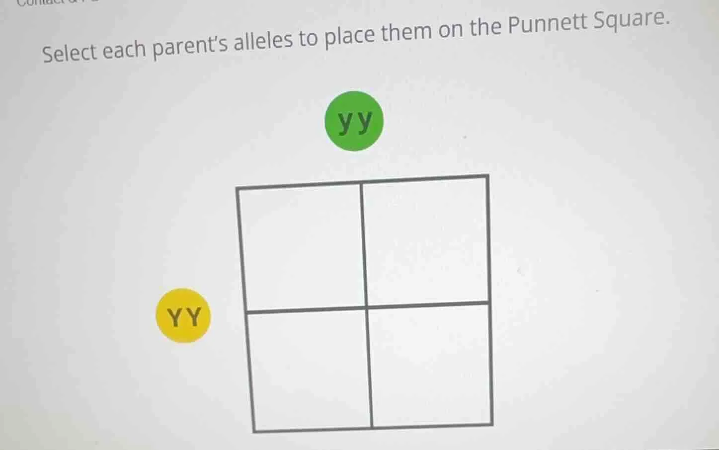 select each parent’s alleles to place them on the punnett square. yy yy