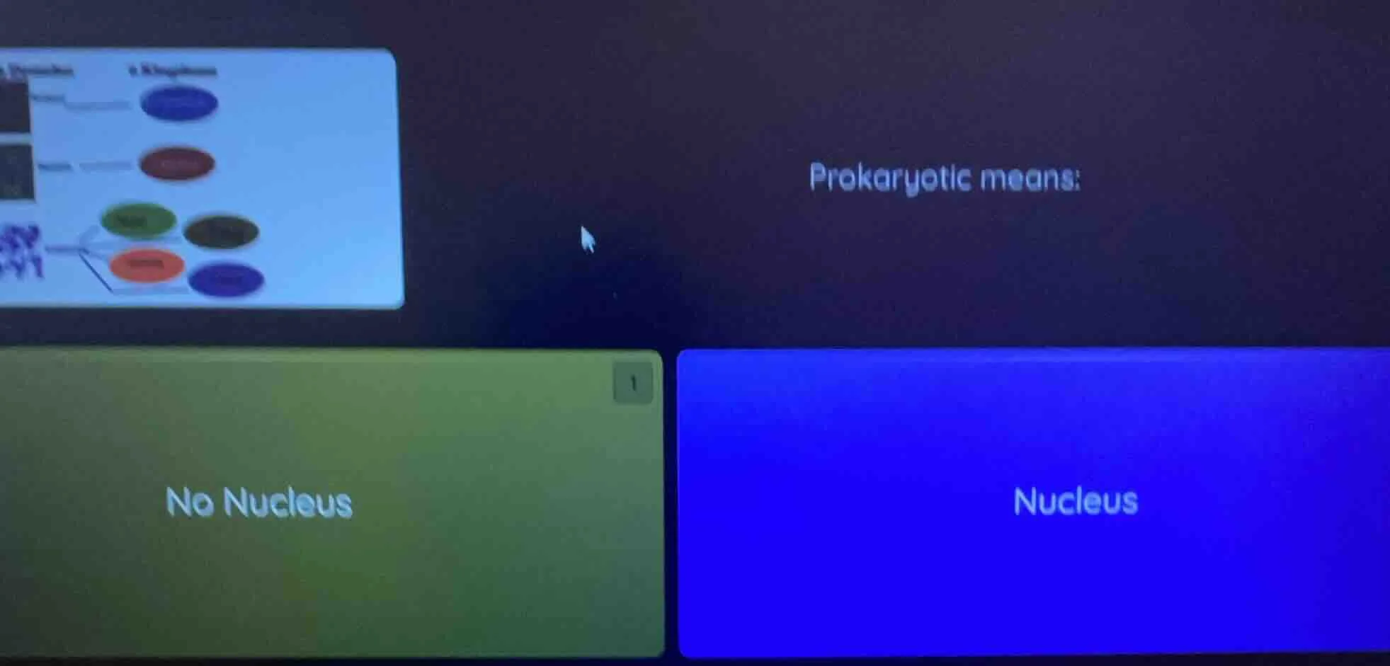 prokaryotic means: no nucleus; nucleus