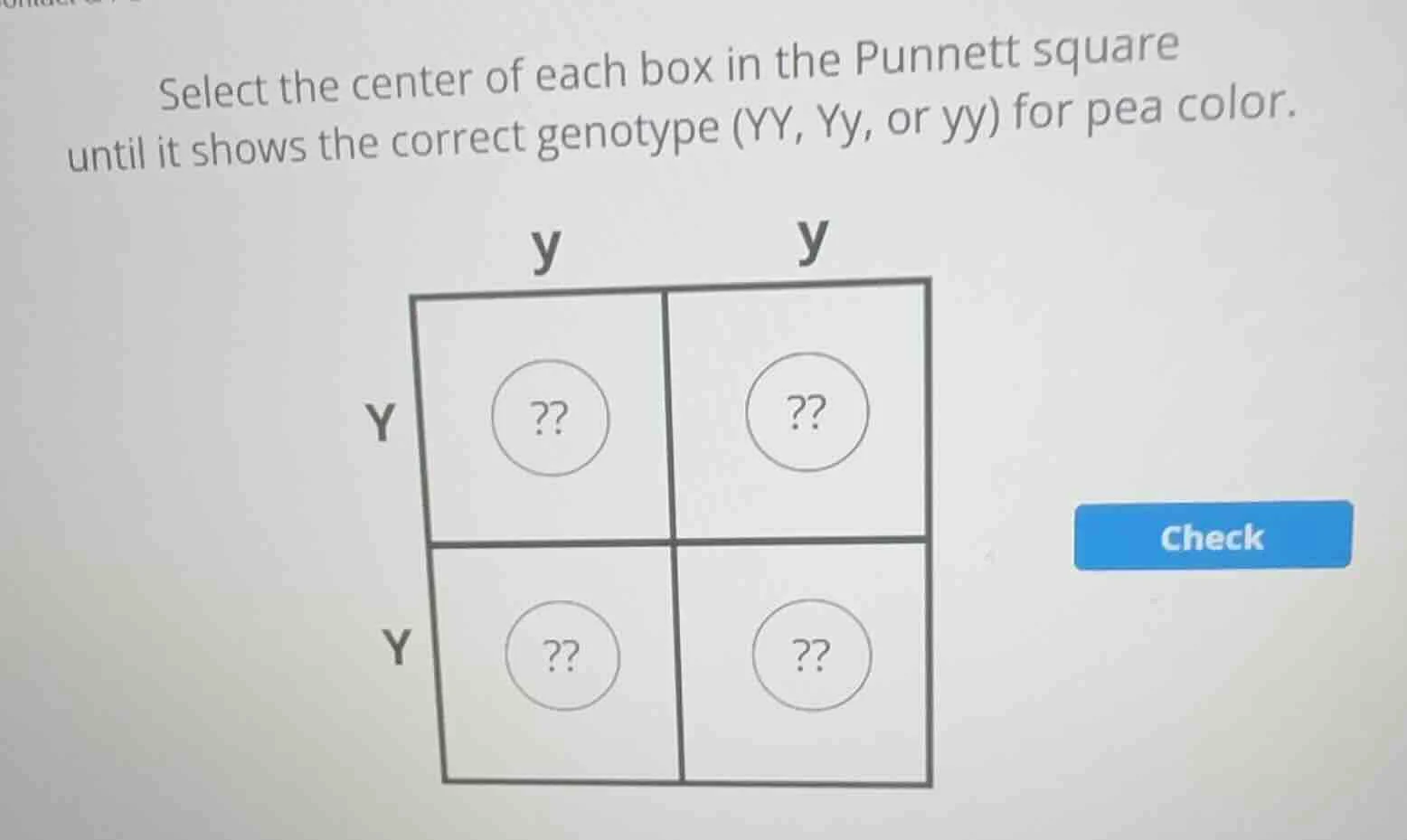select the center of each box in the punnett square until it shows the …