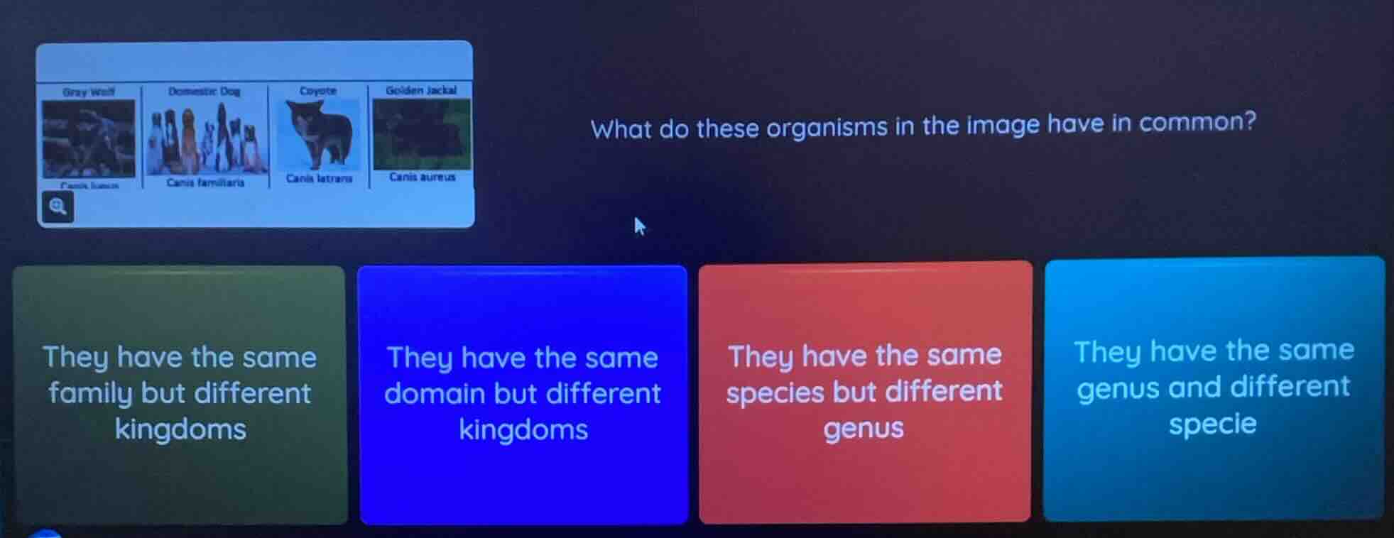 what do these organisms in the image have in common? they have the same…