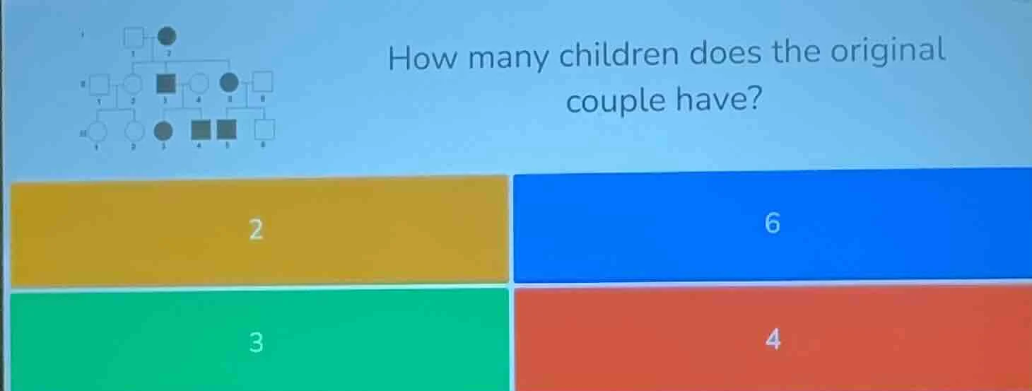 how many children does the original couple have? 2 6 3 4