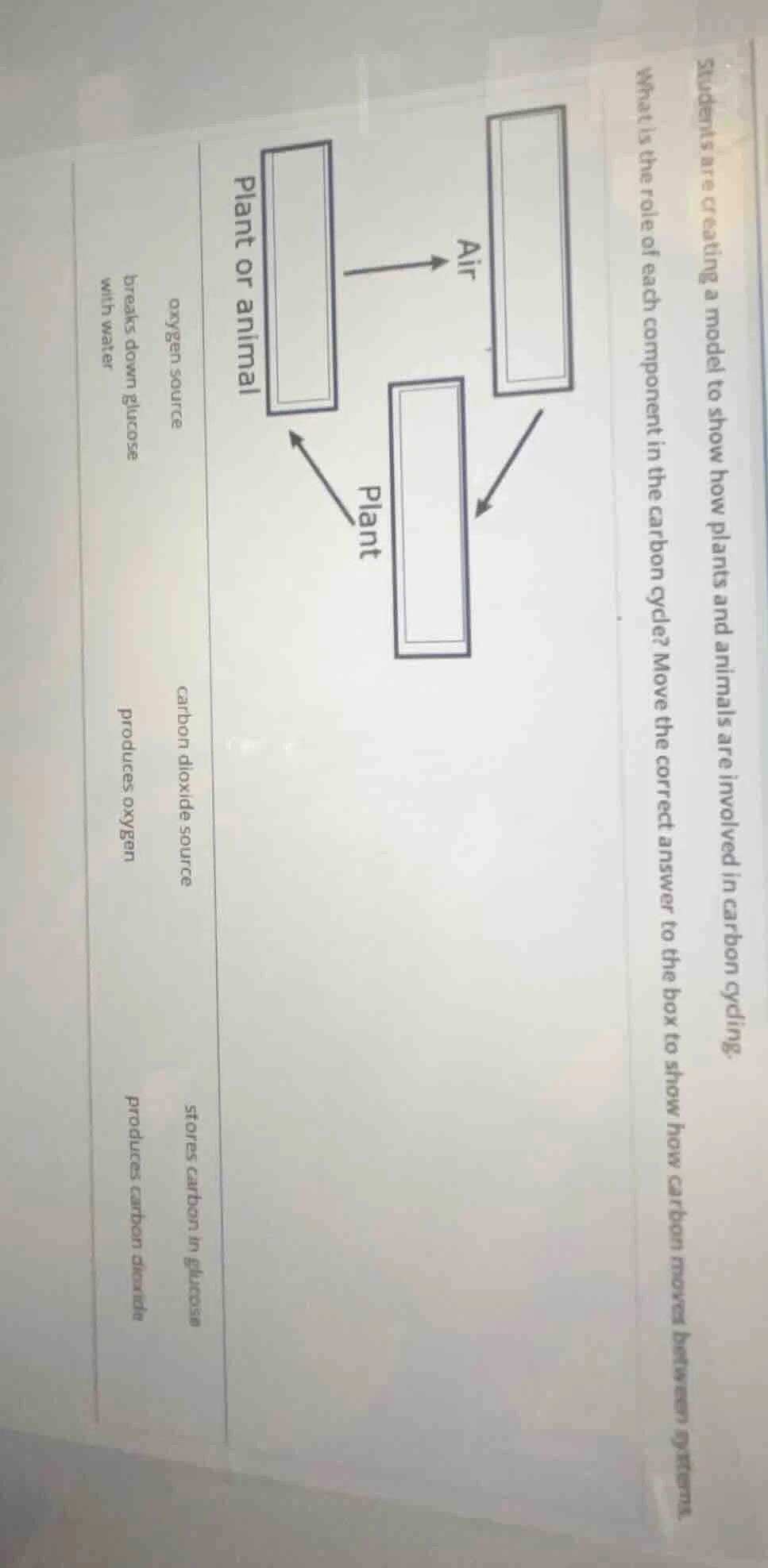 students are creating a model to show how plants and animals are involv…