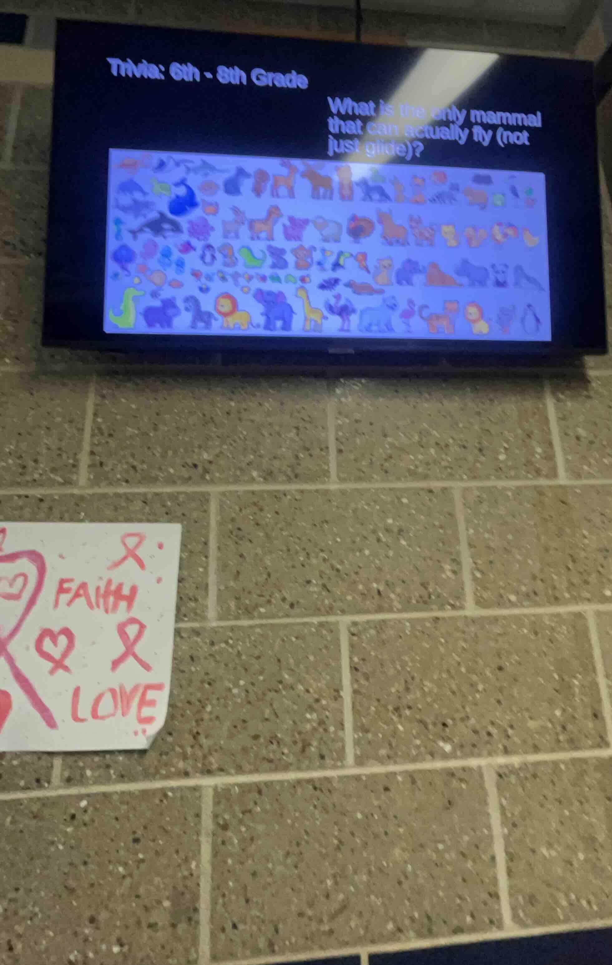 trivia: 6th - 8th grade what is the only mammal that can actually fly (…