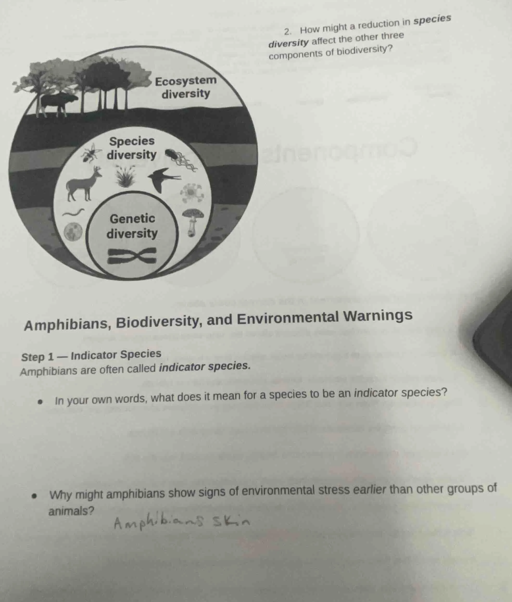 2. how might a reduction in species diversity affect the other three co…