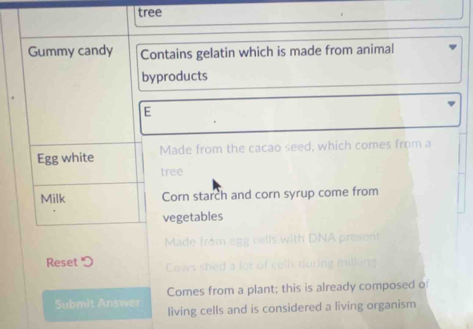 tree gummy candy contains gelatin which is made from animal byproducts …