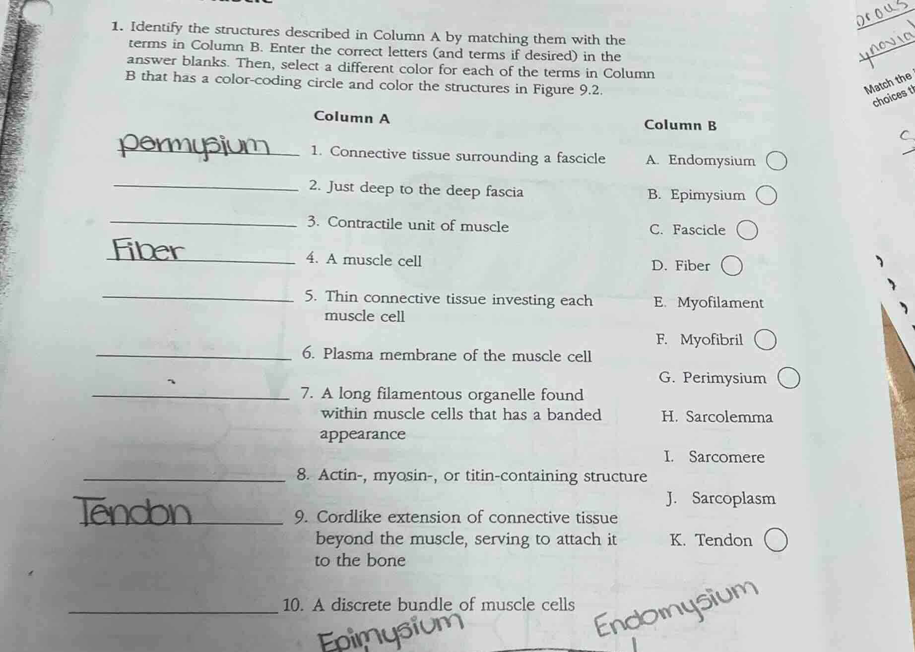 1. identify the structures described in column a by matching them with …