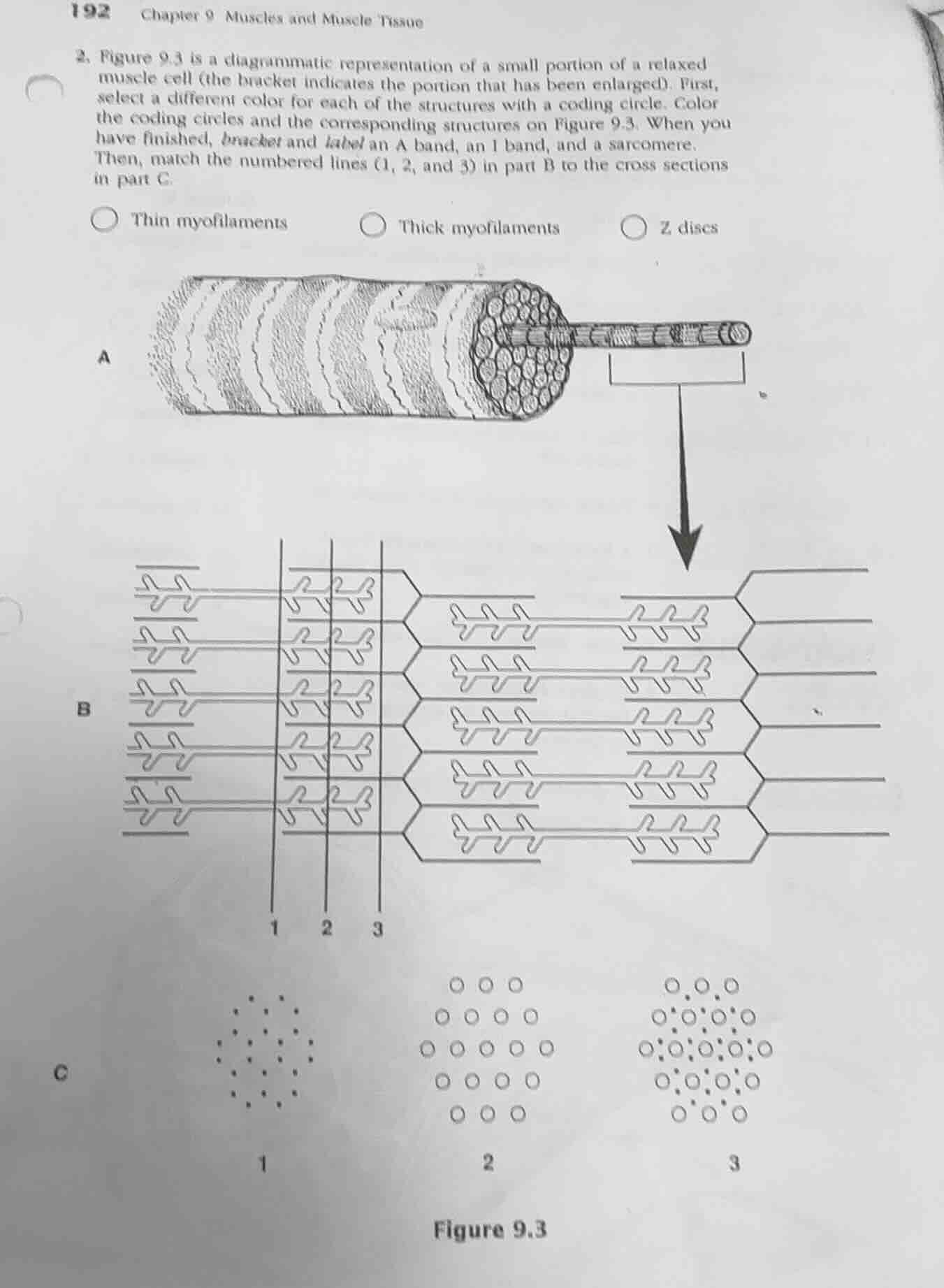 2. figure 9.3 is a diagrammatic representation of a small portion of a …