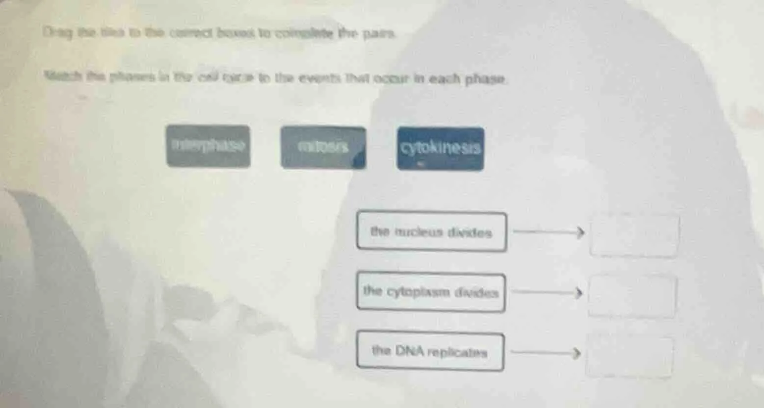 drag the tiles to the correct boxes to complete the pairs. match the ph…