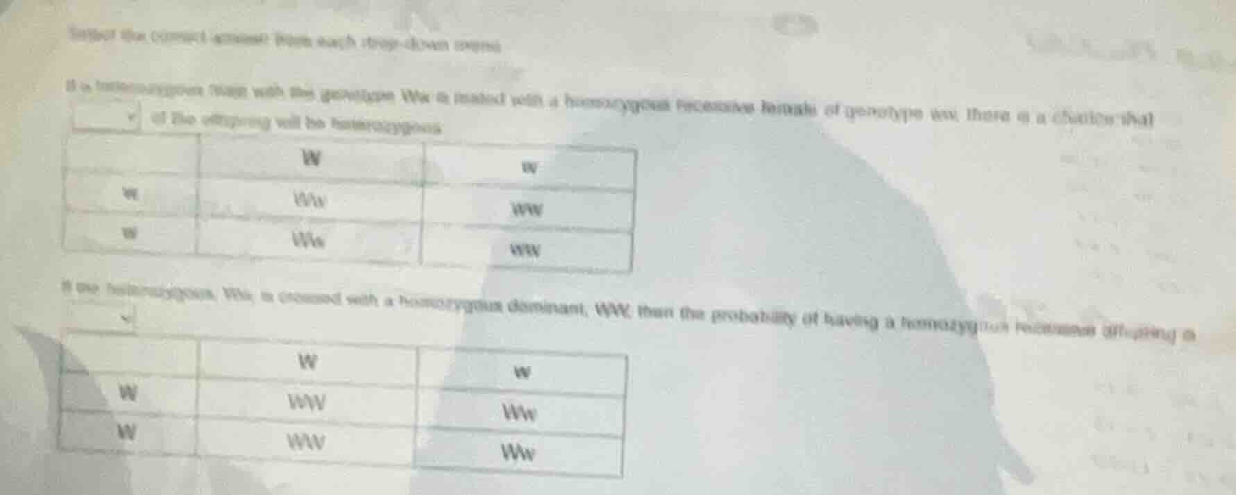 select the correct answer from each drop - down menu. if a heterozygous…