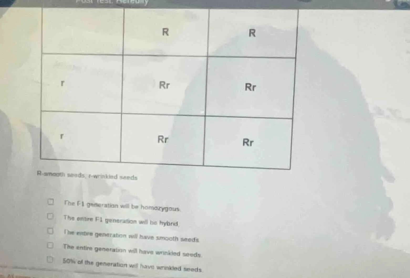 r r r rr rr r rr rr r-smooth seeds, r-wrinkled seeds the f1 generation …