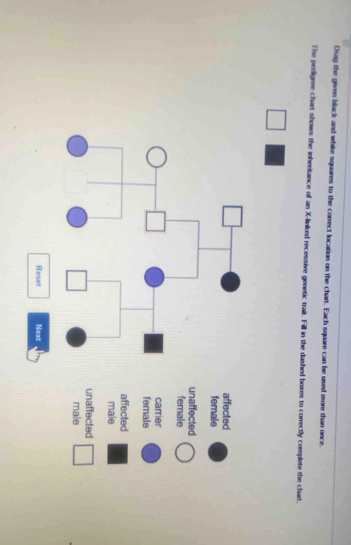 drag the given black and white squares to the correct location on the c…