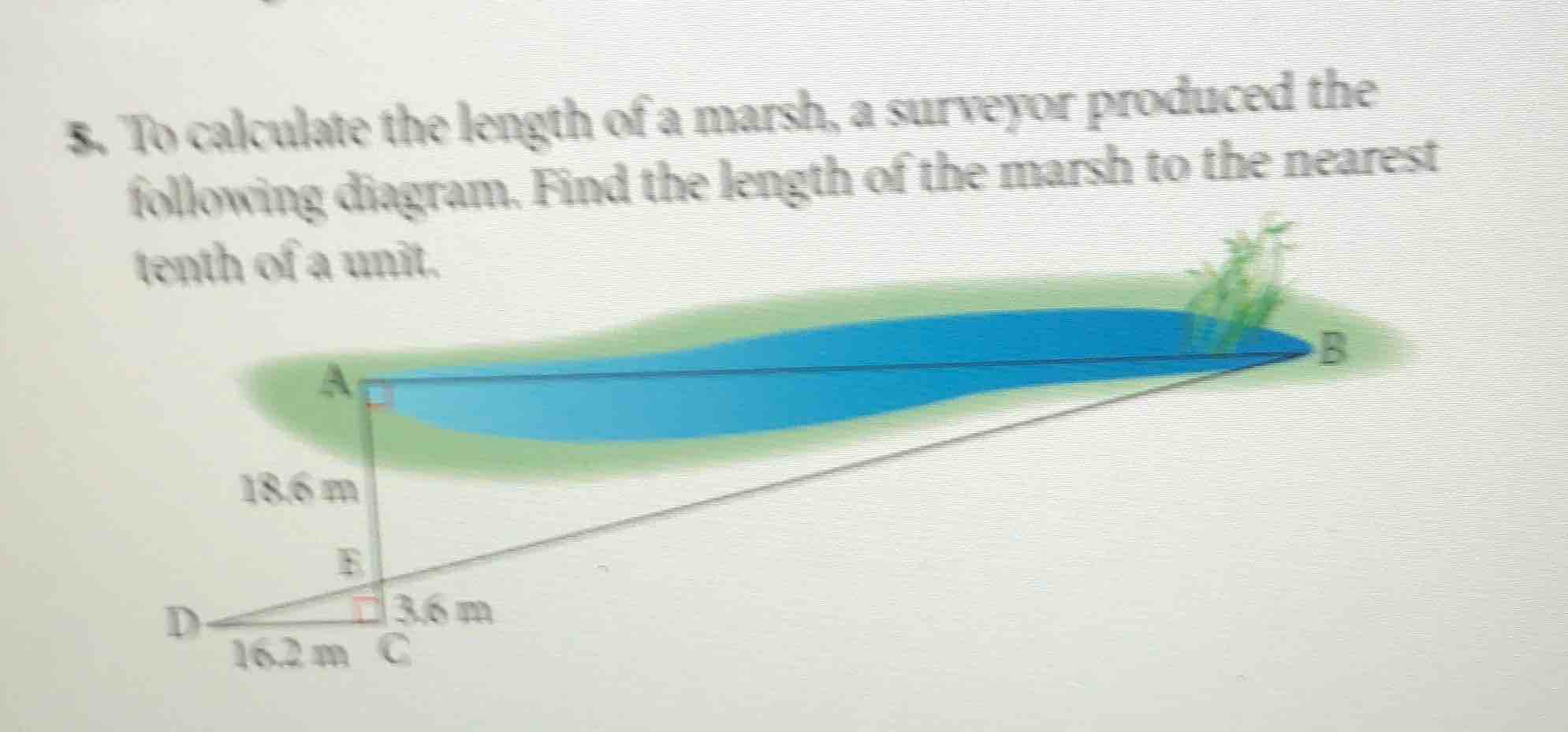5. to calculate the length of a marsh, a surveyor produced the followin…