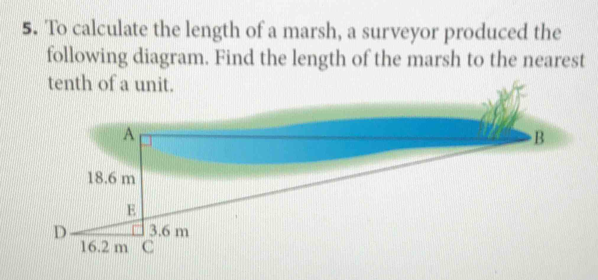 5. to calculate the length of a marsh, a surveyor produced the followin…