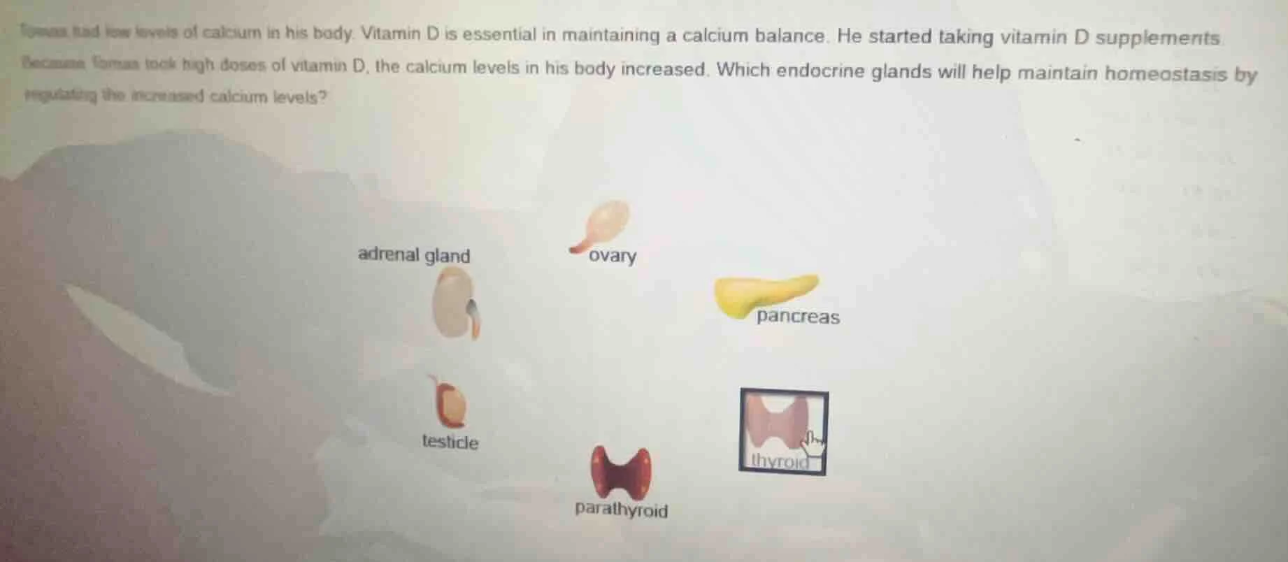tomas had low levels of calcium in his body. vitamin d is essential in …
