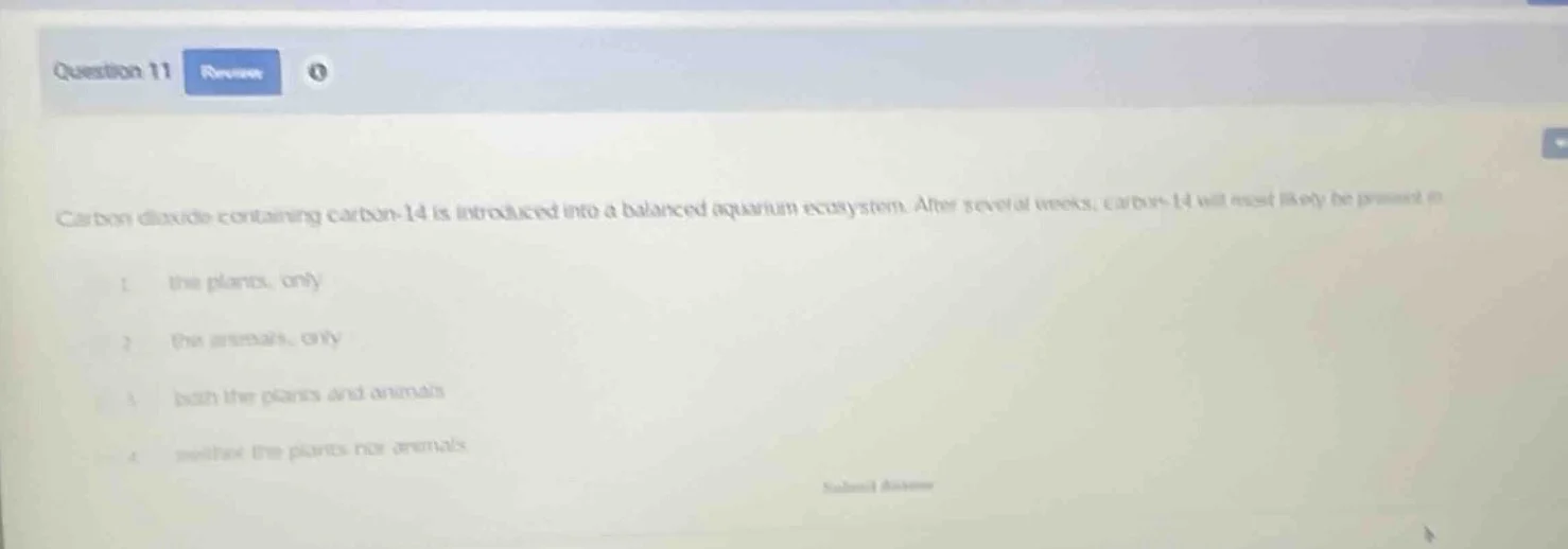 question 11 carbon dioxide containing carbon-14 is introduced into a ba…