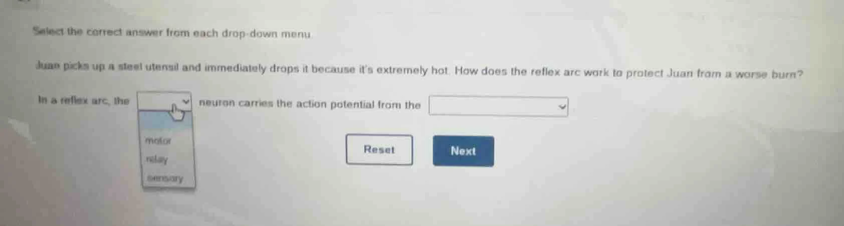 select the correct answer from each drop - down menu juan picks up a st…