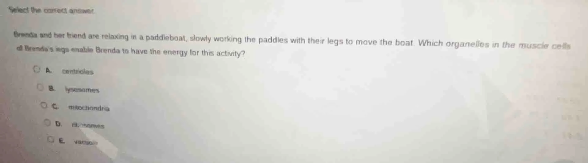 select the correct answer. brenda and her friend are relaxing in a padd…