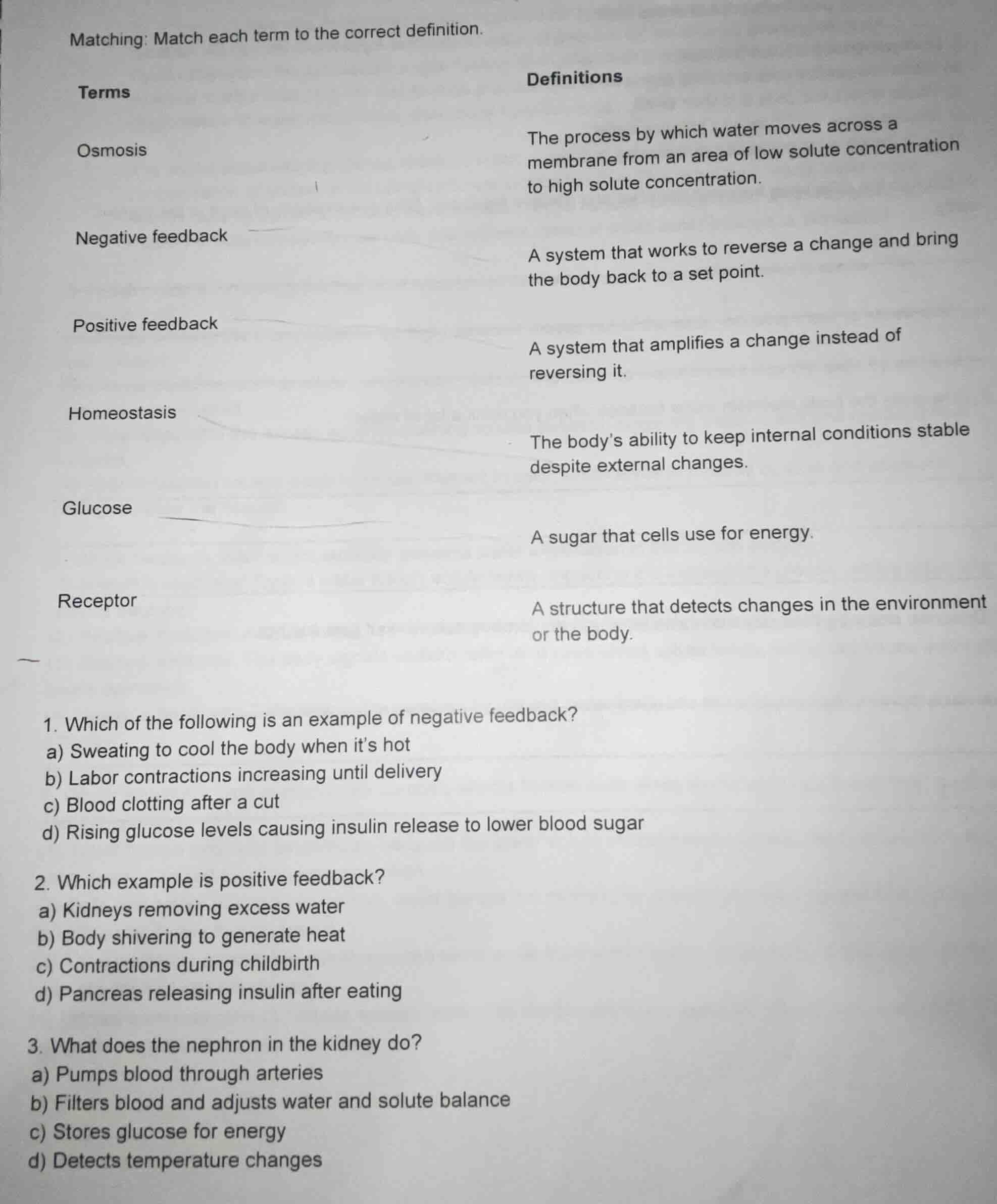 matching: match each term to the correct definition. terms osmosis nega…