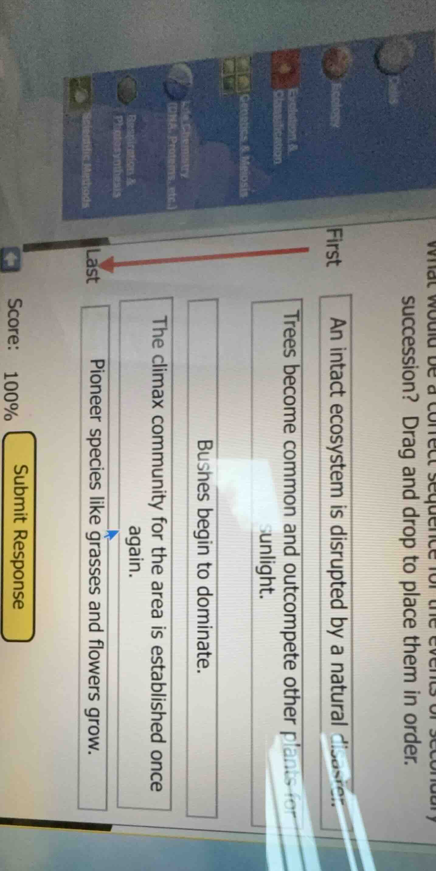 what would be a correct sequence for the events of secondary succession…