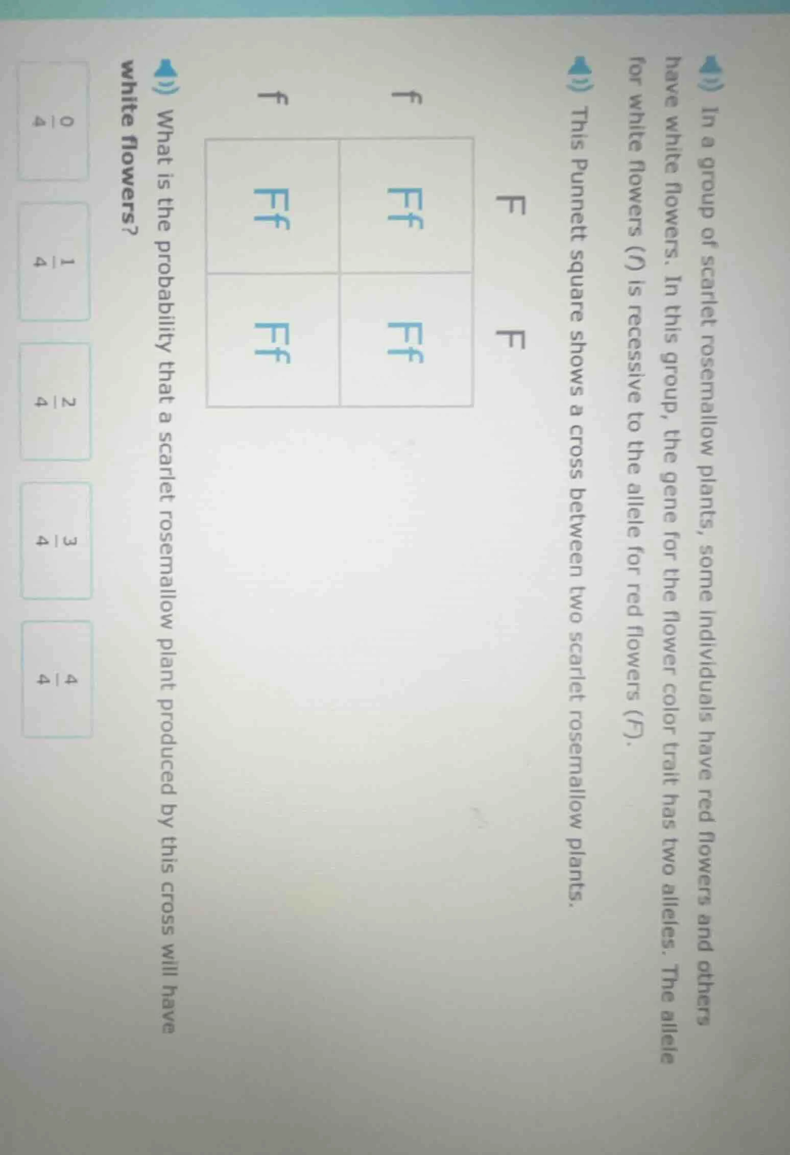 in a group of scarlet rosemallow plants, some individuals have red flow…