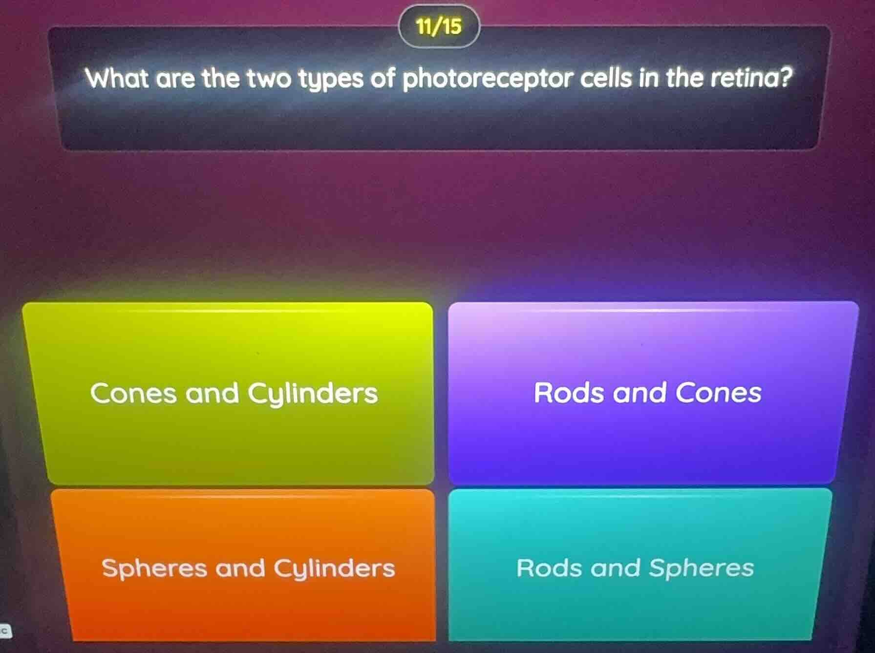 what are the two types of photoreceptor cells in the retina? cones and …