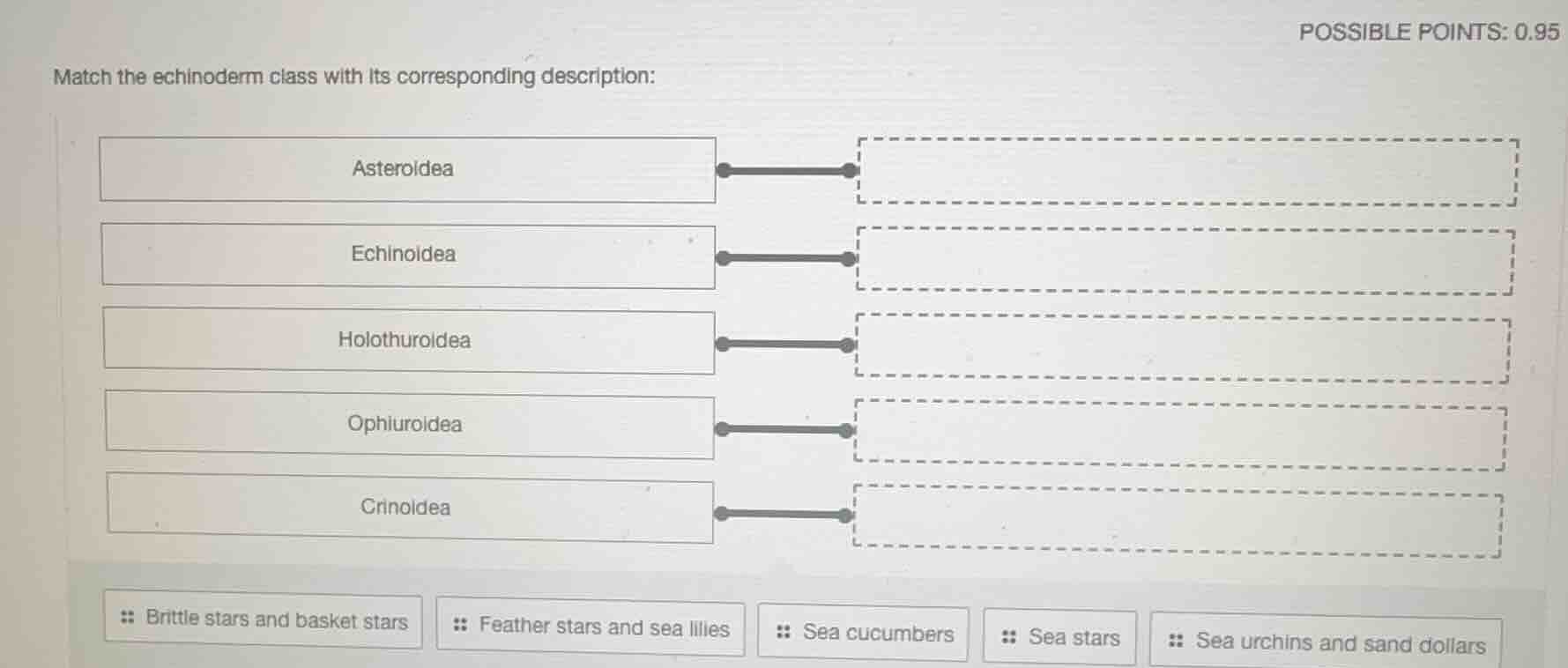 match the echinoderm class with its corresponding description: asteroid…