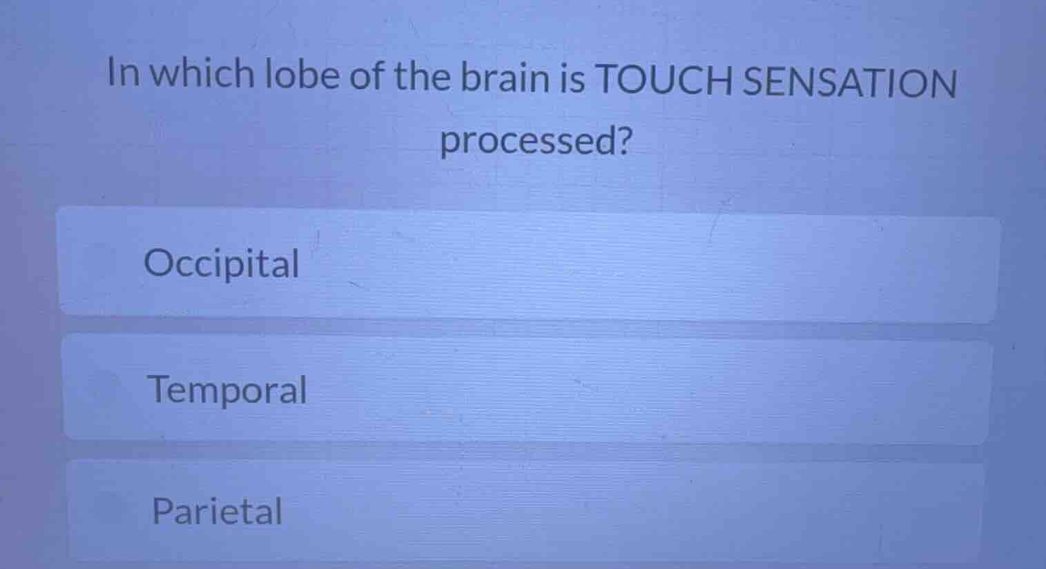 in which lobe of the brain is touch sensation processed? occipital temp…