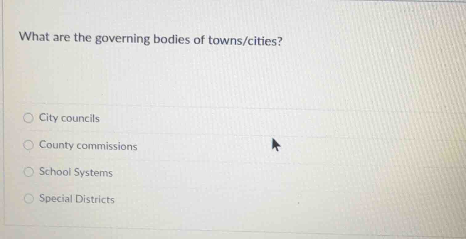 what are the governing bodies of towns/cities? ○ city councils ○ county…