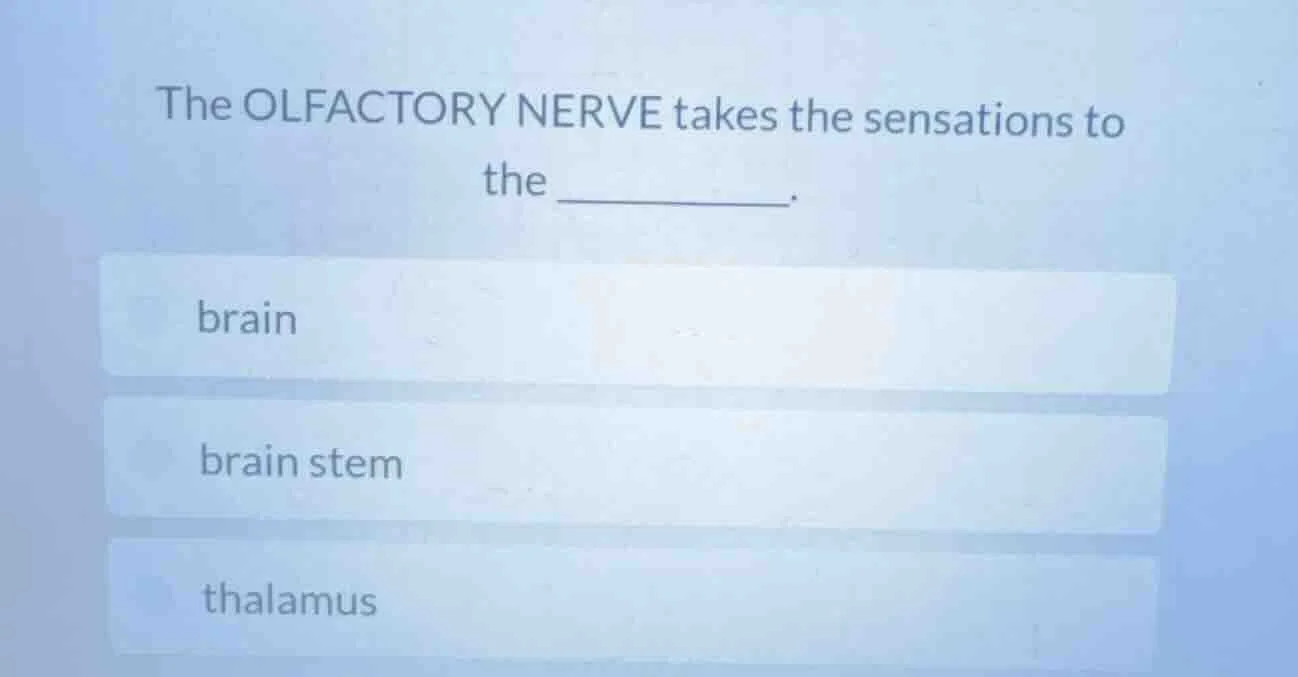 the olfactory nerve takes the sensations to the _______. brain brain st…
