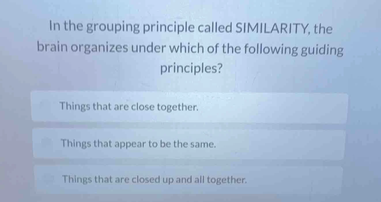 in the grouping principle called similarity, the brain organizes under …