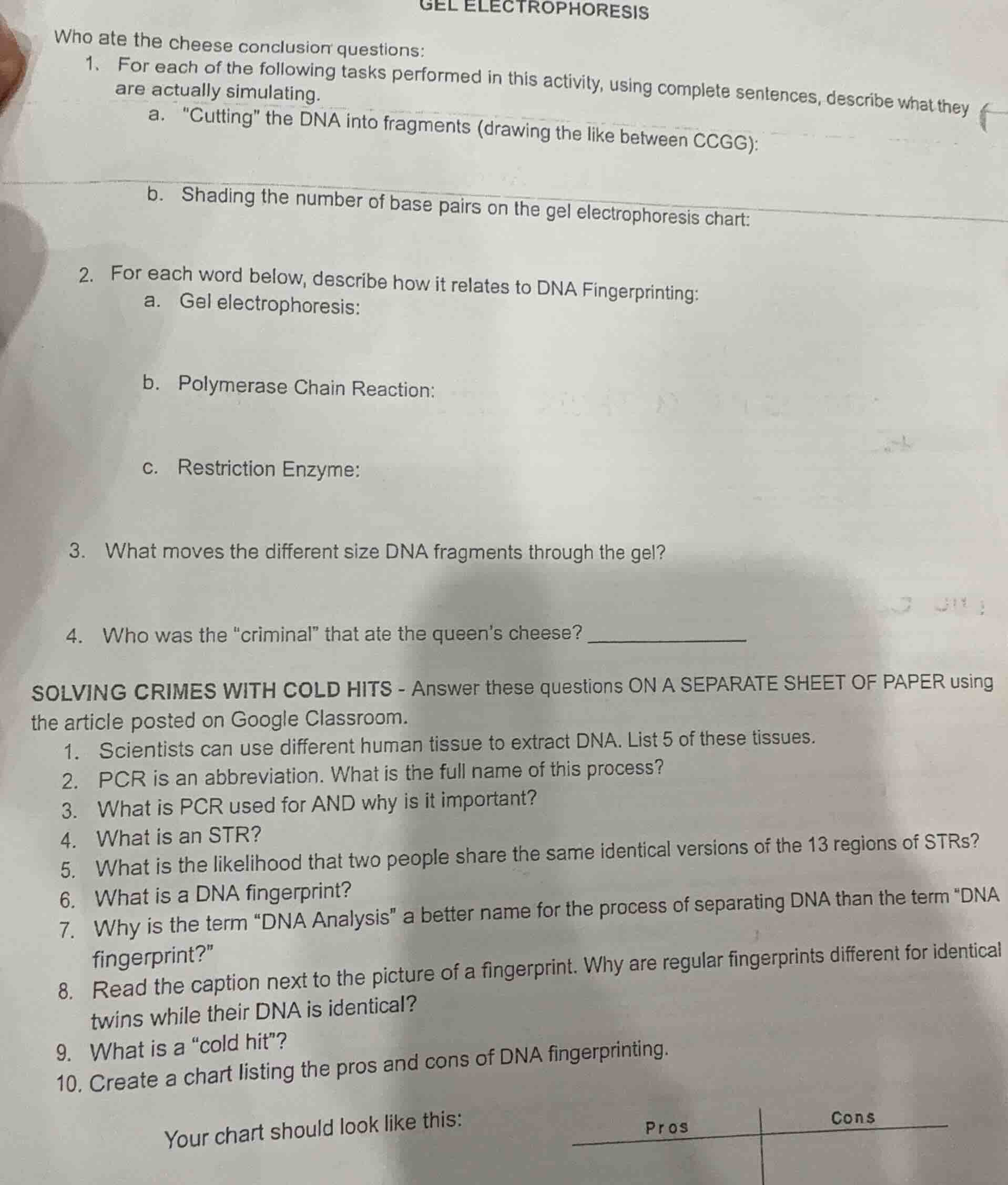 gel electrophoresis who ate the cheese conclusion questions: 1. for eac…