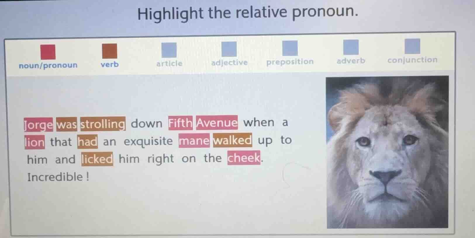 highlight the relative pronoun. noun/pronoun verb article adjective pre…