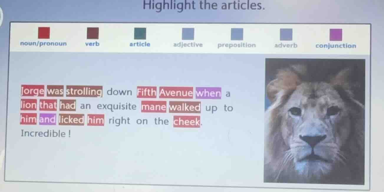 highlight the articles. noun/pronoun verb article adjective preposition…