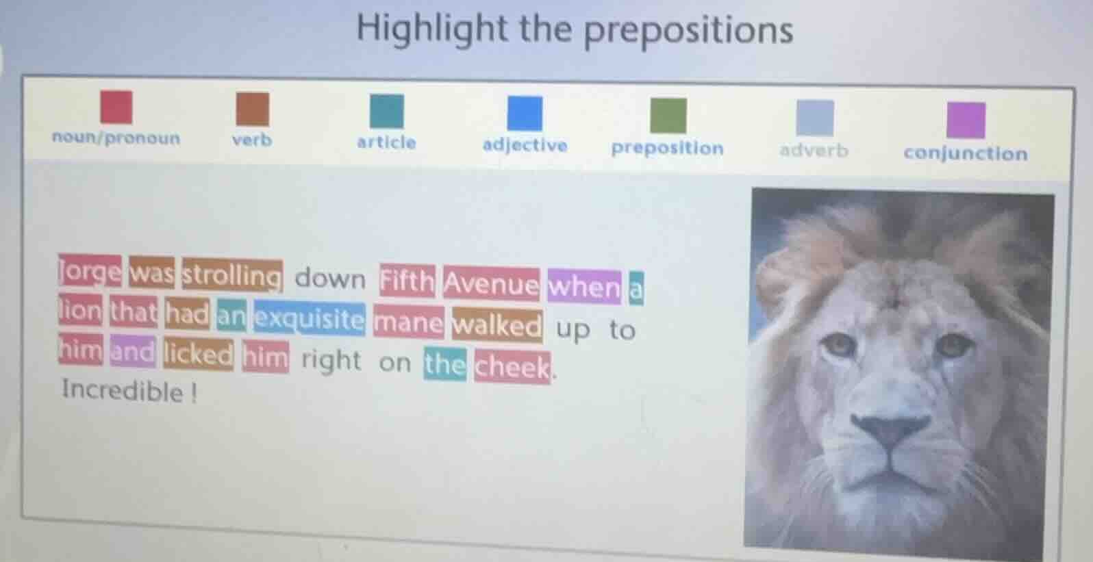 highlight the prepositions noun/pronoun verb article adjective preposit…