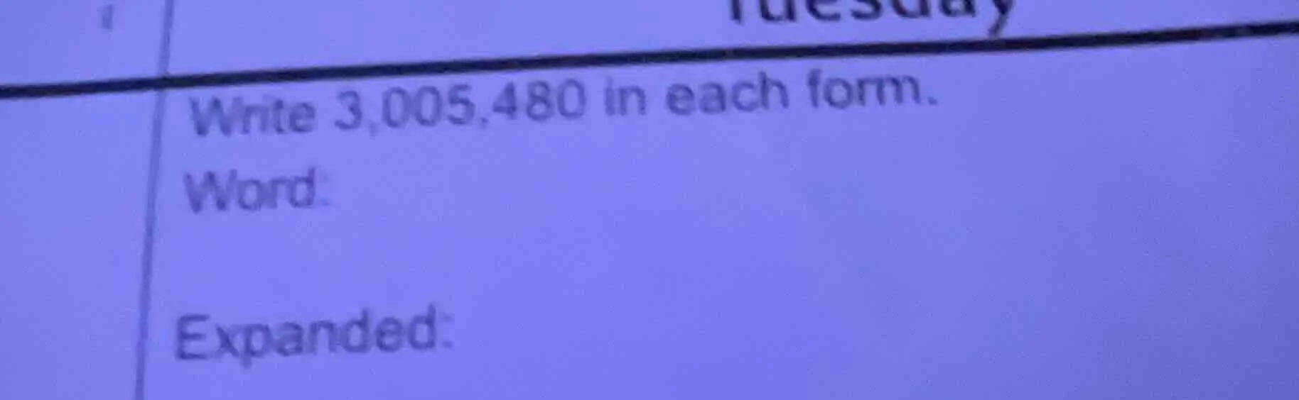 write 3,005,480 in each form. word: expanded: