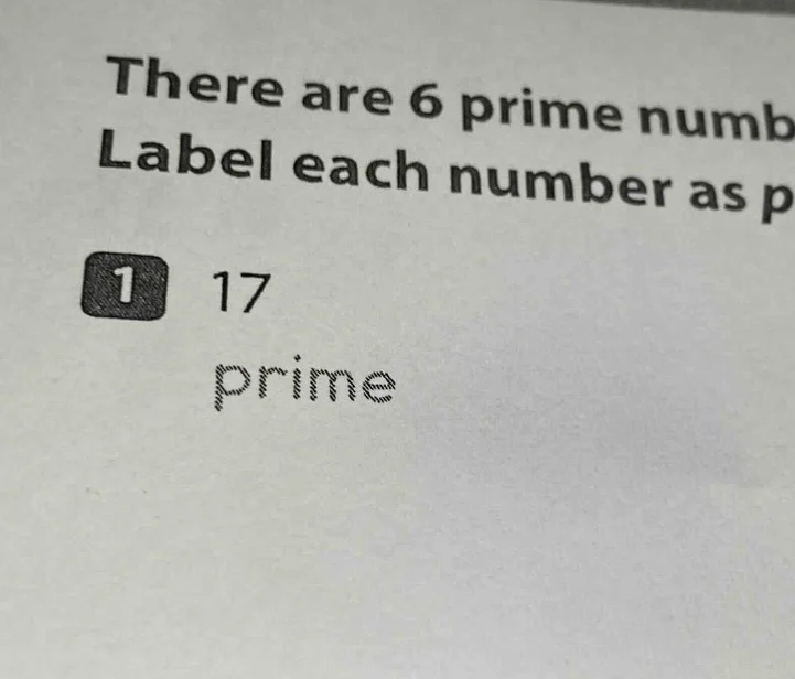 there are 6 prime numb label each number as p 1 17 prime