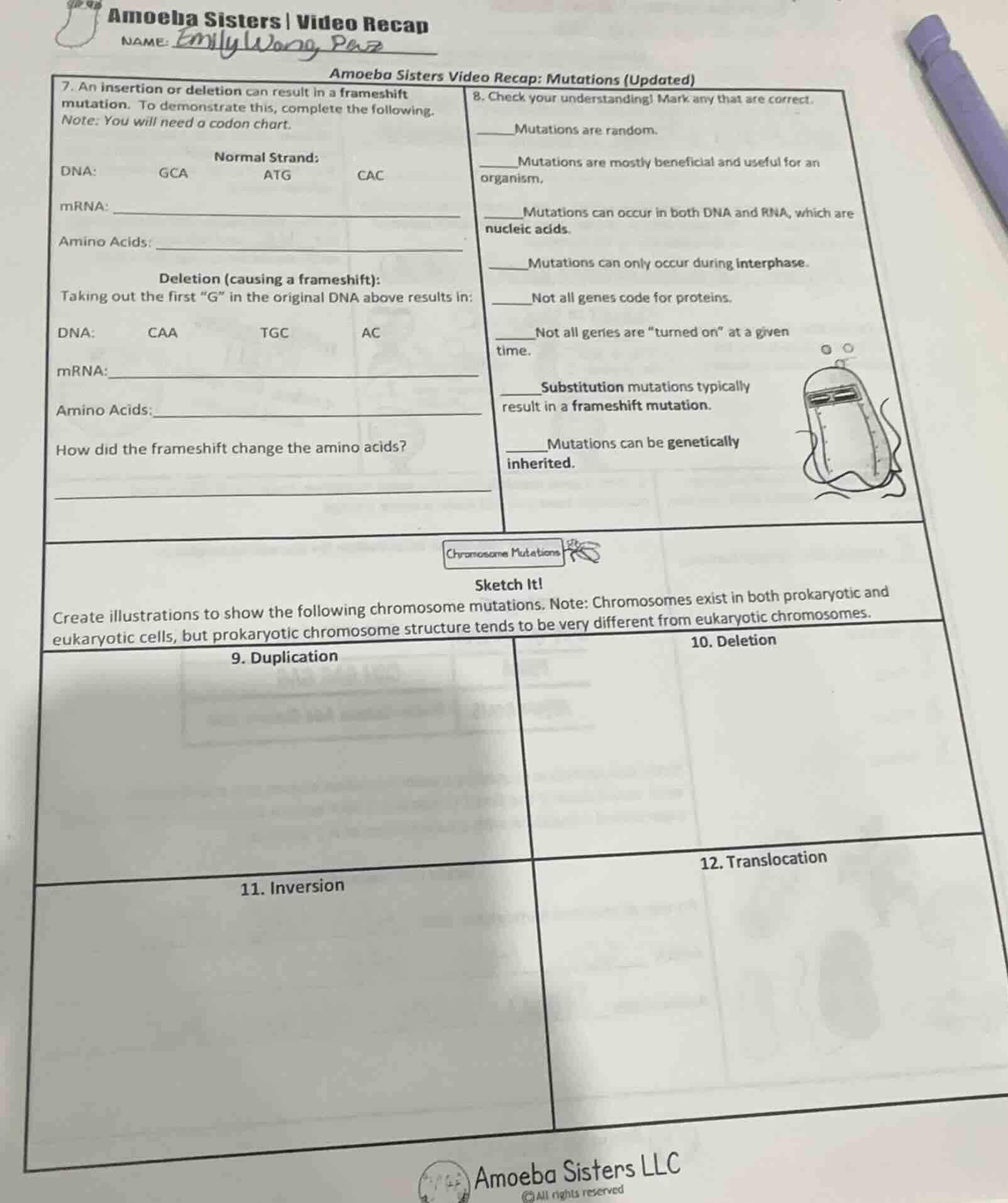 amoeba sisters | video recap name: emily wong paz amoeba sisters video …