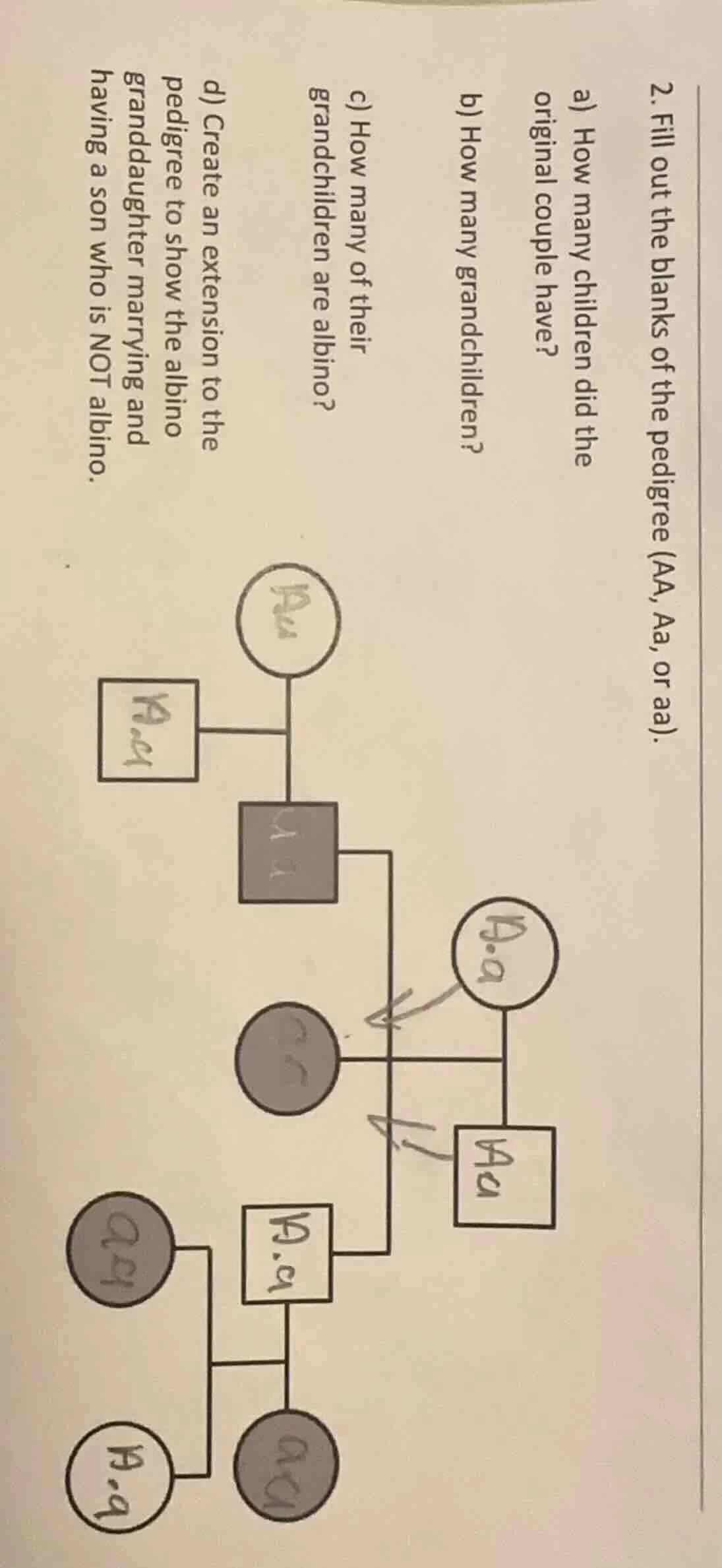 2. fill out the blanks of the pedigree (aa, aa, or aa). a) how many chi…