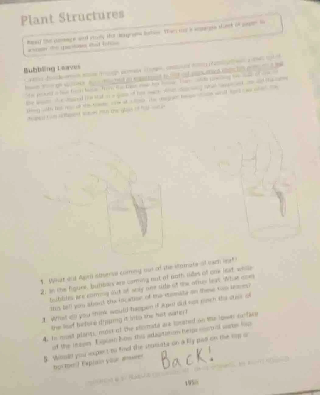 plant structures read the passage and study the diagrams below. you can…