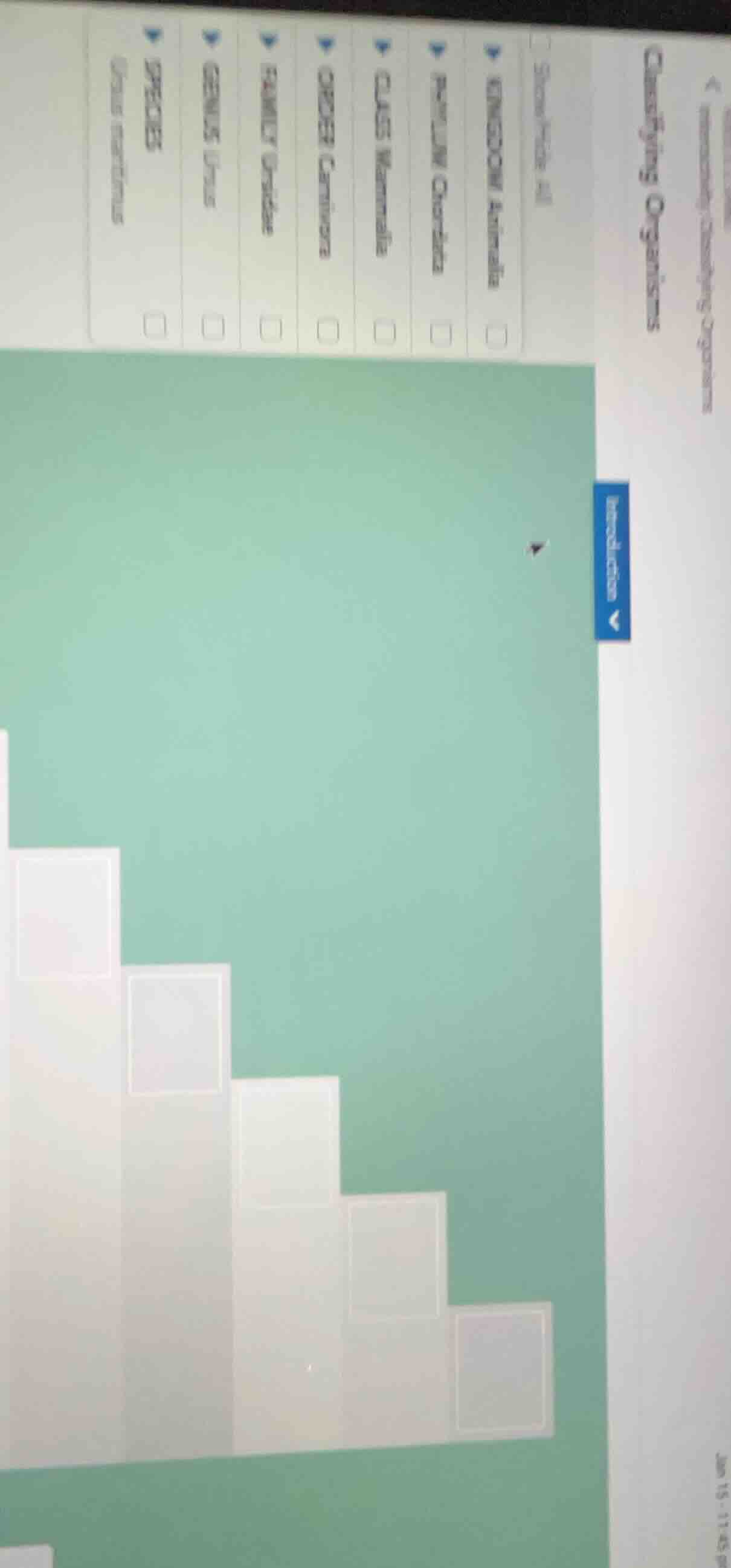 classifying organisms - show article all kingdom animalia phylum chorda…