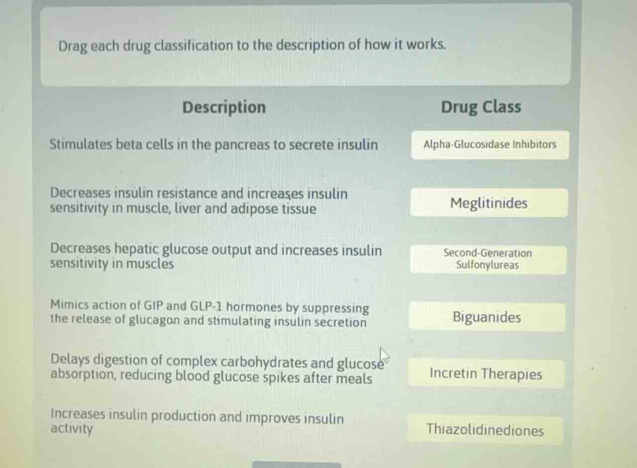 drag each drug classification to the description of how it works. descr…