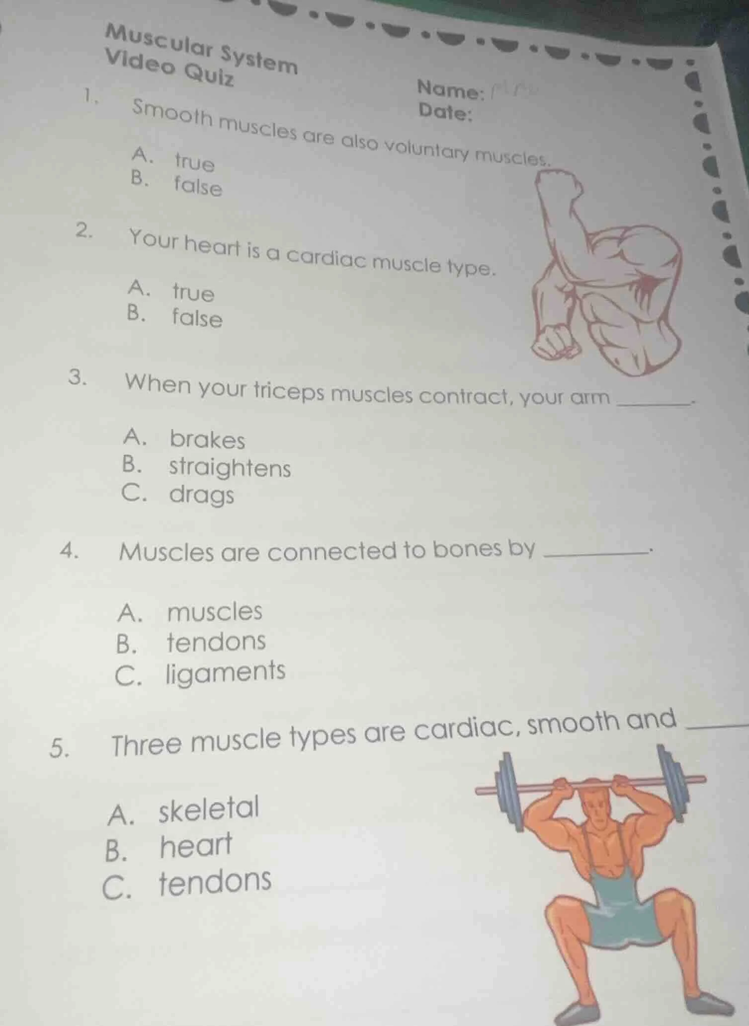 muscular system video quiz name: date: 1. smooth muscles are also volun…